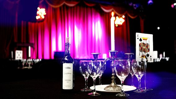 House of Illusion Magic Show with Drinks