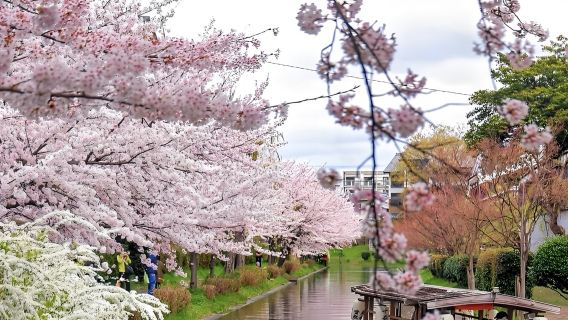 日本大阪-京都御苑-伏見稻荷大社可訂製【中文專車-舒適純淨】