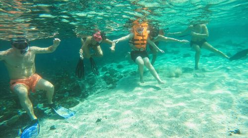 From Abu Dhabi: Snorkeling with turtles in Fujairah with BBQ 6