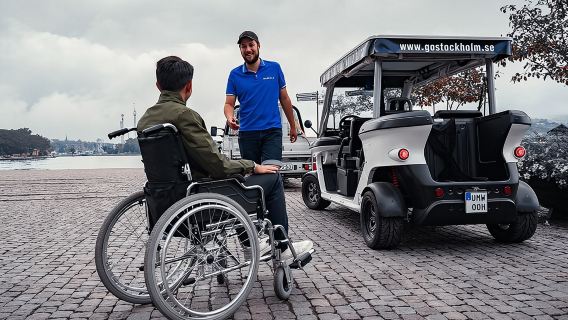 Stockholm Private Golf Cart Tours