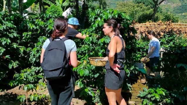 Coffee, Chocolate and Textile Tour in Lake Atitlan