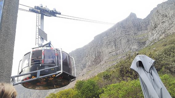 Visite d'une journée complète de Robben Island et de la montagne de la Table