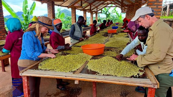 Kigali: City Tour and Coffee Tour experience