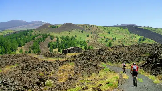 Etna: Mountain Bike or E-Bike Tour on Mount Etna