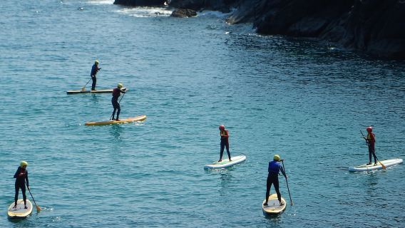 Cornualles: Aventura de surf de remo en The Lizard