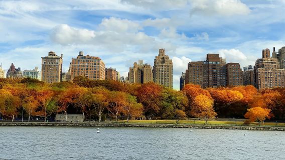 NYC : Croisière d'observation des feuillages d'automne avec guide en direct