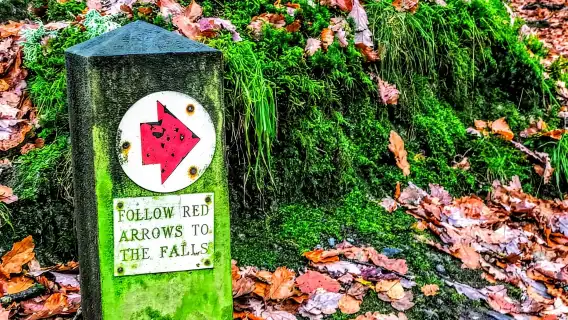 From Manchester: Lake District Sightseeing Day Trip