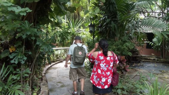 Нассау: Культурная пешеходная экскурсия по достопримечательностям центра Нассау