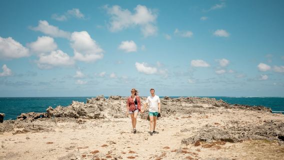 Île Maurice : Excursion d'une journée en hors-bord vers l'île aux Cerfs et barbecue