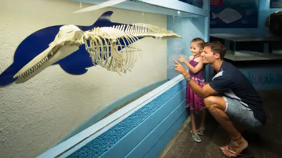 Cancún: Interactive Aquarium Admission