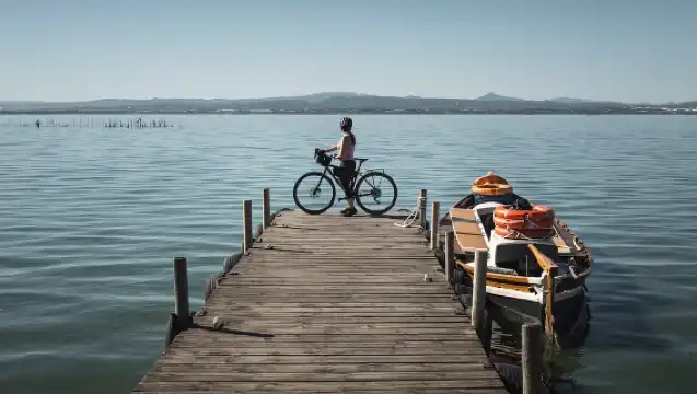 Valencia: Road to La Albufera Guided Private Bike Tour