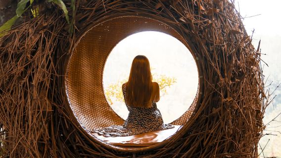 烏布：猴子森林保護區與叢林鞦韆之旅