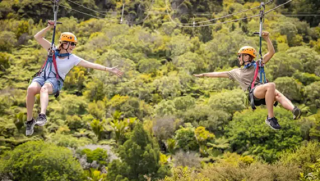 เกาะไวเฮเกะ: ทริปผจญภัยซิปไลน์และป่าพื้นเมือง