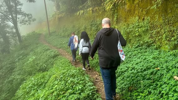 Tour guidato a piedi tra la natura e la cultura di Darjeeling