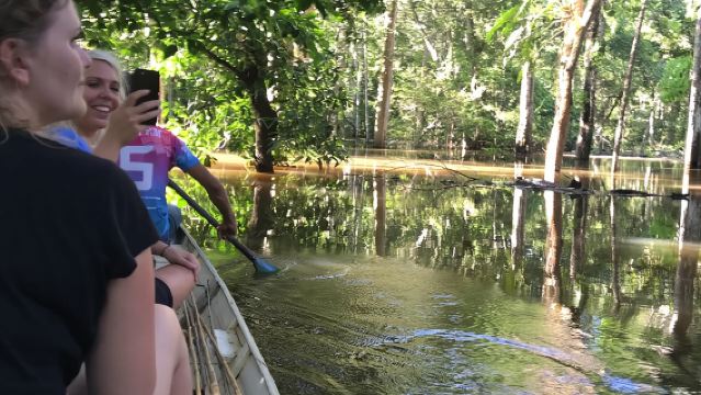 A Whole Day in the Jungle