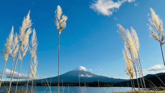Tokyo|Owakudani + Tianti Town + Hakone Ropeway + Hakone GÅra Park shared transfer