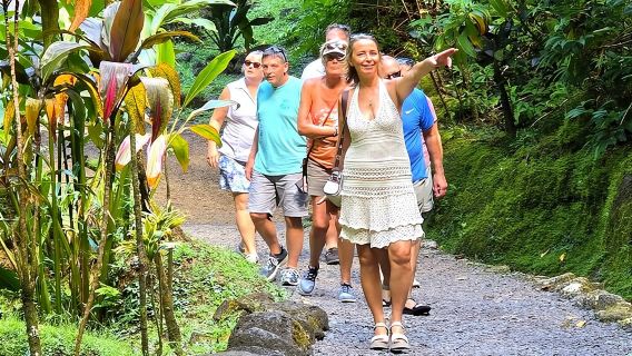 เกาะส่วนตัว Tahiti Circle - น้ำตก หาดทรายดำ และทิวทัศน์