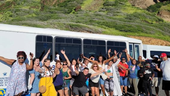 Oahu Guided Circle Island Tour, Swim w/ Turtles, Dole, Blowhole