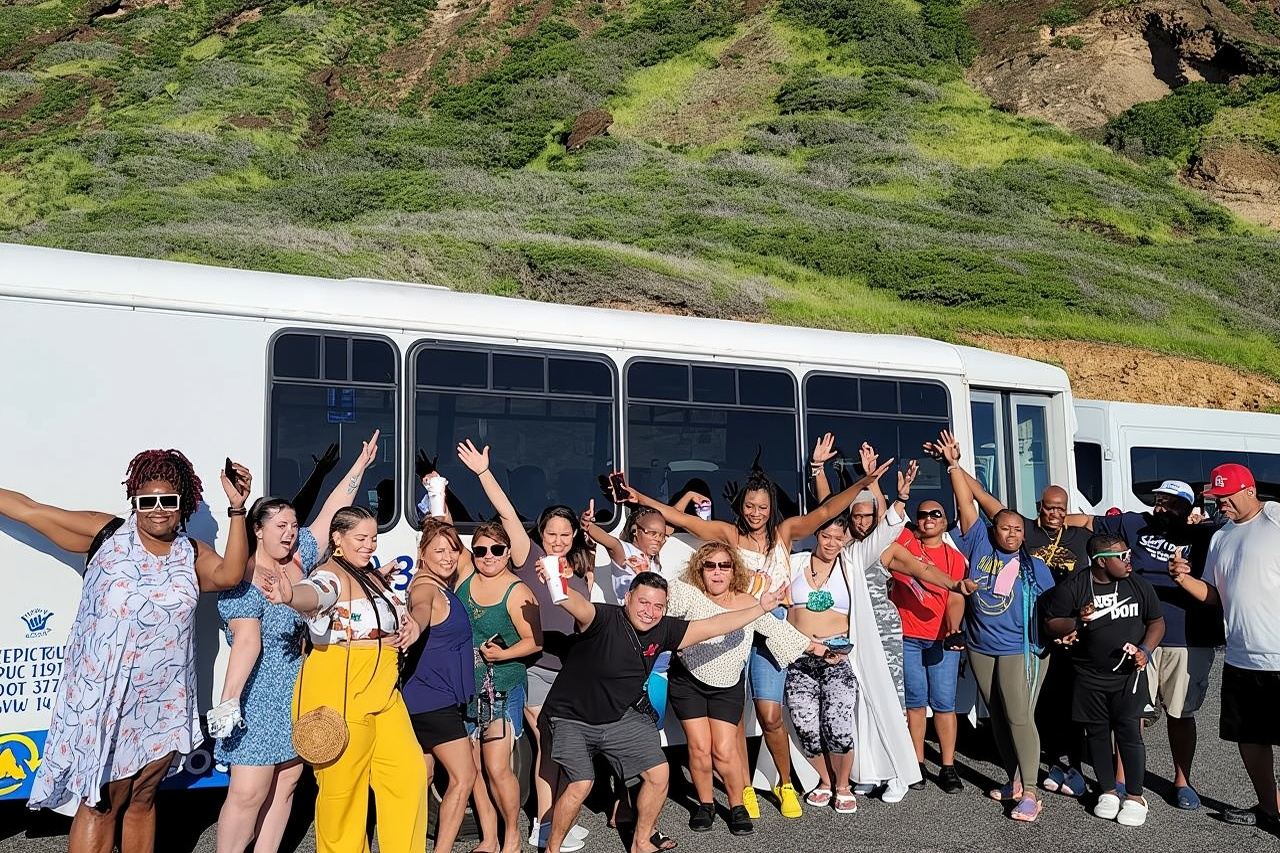 Oahu Guided Circle Island Tour, Swim w/ Turtles, Dole, Blowhole