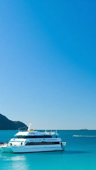Sydney Port Stephens one-day tour[Sandboarding/Moon Shadow Dolphin Cruise/Koala Sanctuary]
