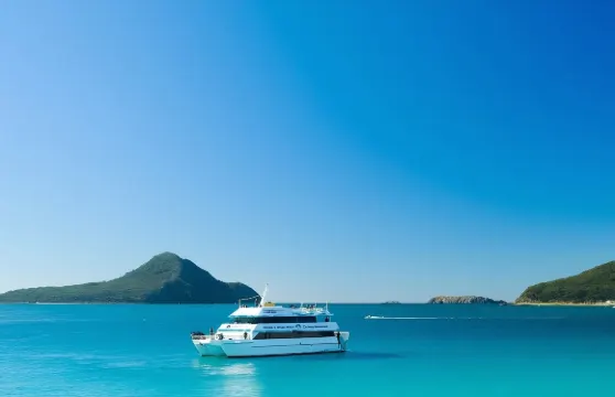 悉尼史蒂芬斯港一日遊【滑沙體驗/月影海豚遊船/樹熊保護區】