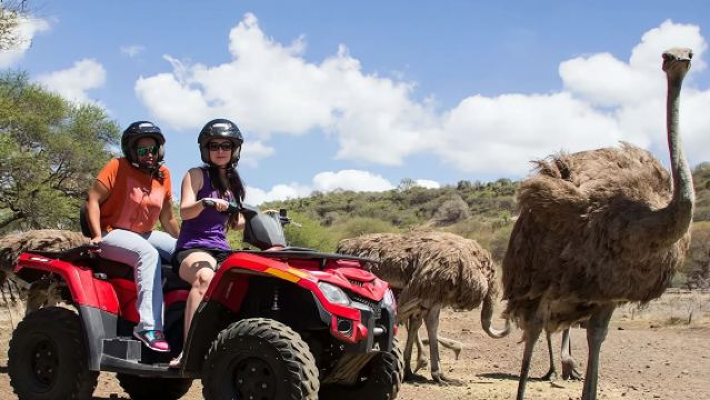 Tagesausflug mit Privattransfer zu Blue Bay, Grand Baie und Macondé auf Mauritius