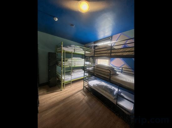 Phoenix Hostel Room Type - Bed In 12 Bed Shared Dormitory, Mixed Dormitory