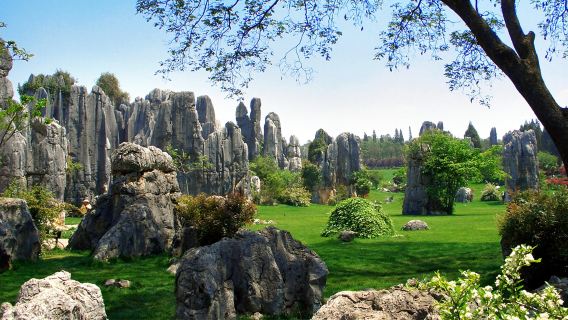 昆明石林風景區+九鄉包車一日遊【獨立汽車-私享訂製】