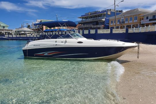 開曼群島半日私人Stingray City包船之旅