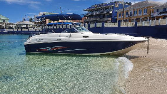 Piagam Bandar Stingray Persendirian Separuh Hari di Kepulauan Cayman