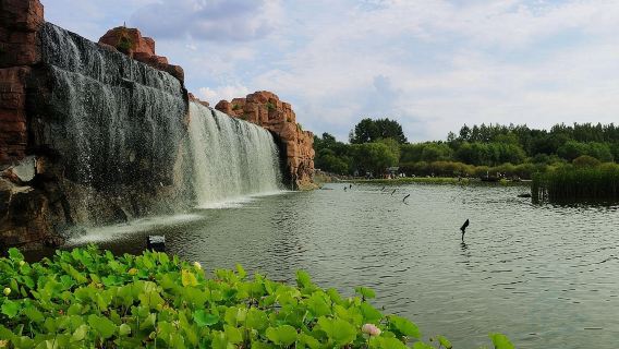 Small-Group Tour in Summer: Harbin Sun Island, Indoor Ice and Snow World