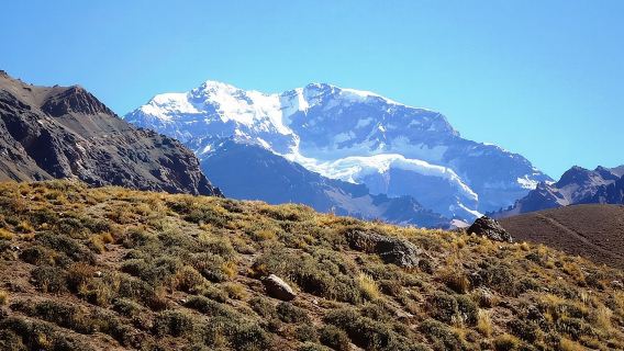 Mendoza