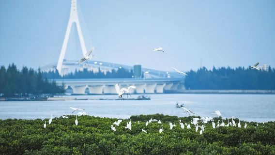 Haikou Beigang Island Sea-hunting Experience Private Guided Day Tour