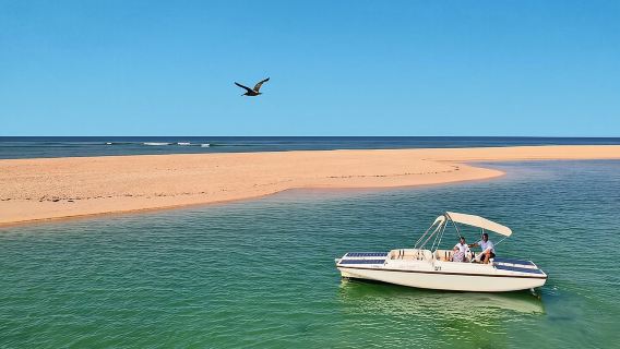 ดูนกในเรีย ฟอร์โมซา - ทัวร์เรือเชิงนิเวศจากฟาโร