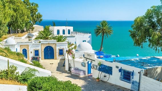 Tour privato: Medina, Cartagine, Sidi Bou Said, Museo del Bardo + pranzo