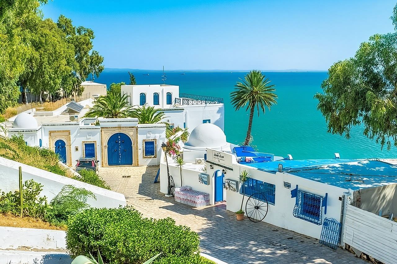 Private tour: Medina,Carthage ,Sidi Bou Said, Bardo Museum+lunch