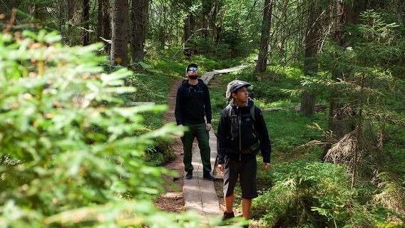 Full-Day Liesjärvi National Park Tour