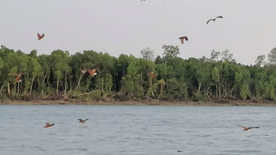 Kuala SelangorTours