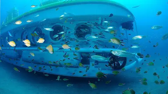 Submarine Safaris Lanzarote