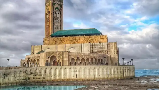 從遊輪或飯店出發遊覽卡薩布蘭卡