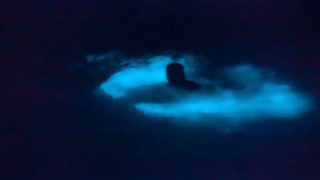 Recorrido en barco local al Santuario de Los Arcos para observar bioluminiscencia y atardecer