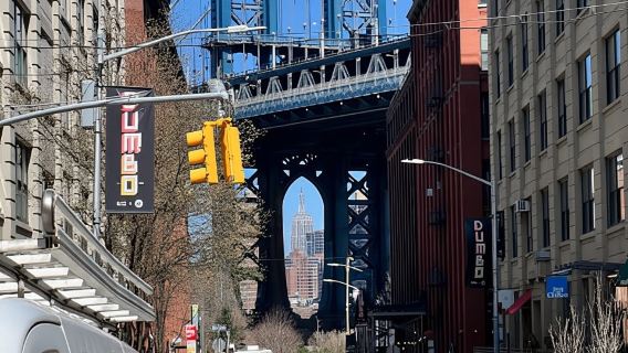 นิวยอร์ก: ทัวร์เดินชมสะพานบรูคลินและดัมโบพร้อมไกด์