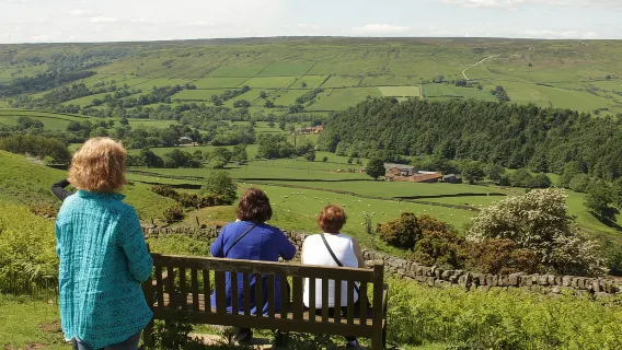 Von York: Tagesausflug nach Whitby und zu den North York Moors