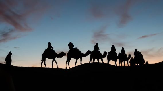 From Ouarzazate: Zagora and Draa Valley Day Tour