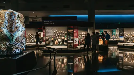 New York City: American Museum of Natural History Ticket