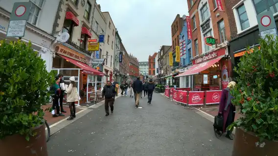 Dublin: Dublin City Highlights Private Guided Walking Tour