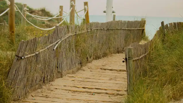 From Valencia: Albufera Natural Park Eco Boat Tour & Sunset