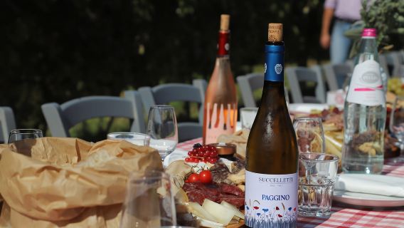 Tuscany: White Wine Tasting with Aperitivo at a Local Winery