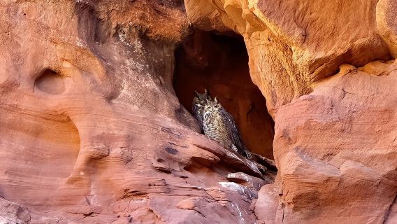 Page: Gorgeous Three Guided Tour