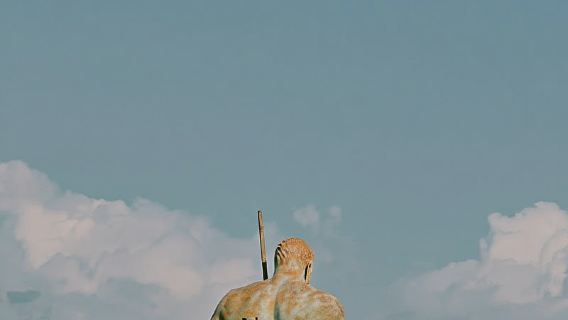 Da Napoli/Salerno: tour di Pompei, Sorrento e Positano